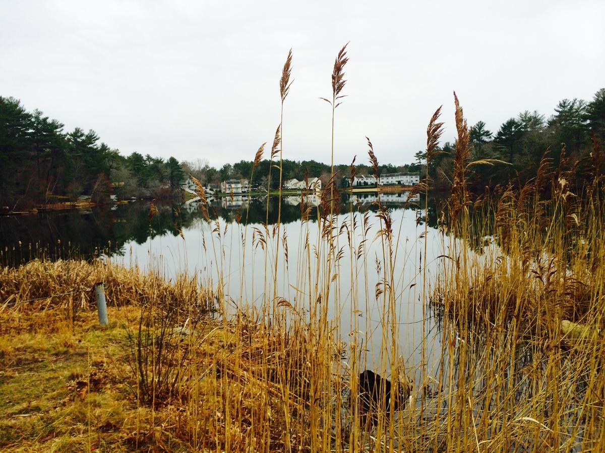 Clear Pond Getaway Lägenhet Plymouth Exteriör bild